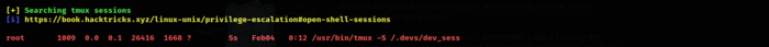 Tmux Opened Session